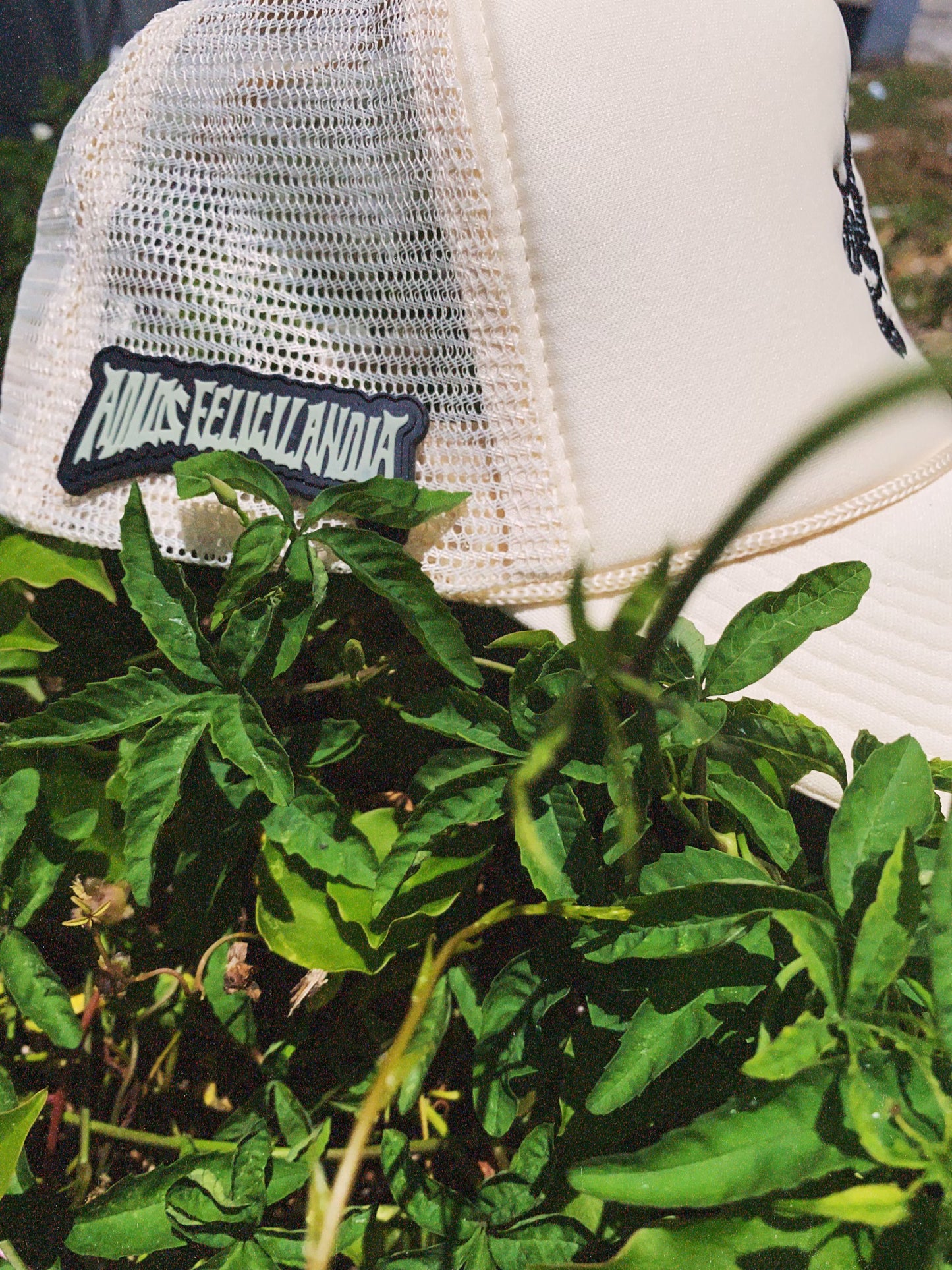 ADIOS FELICILANDIA X YLNONE TRUCKER HAT