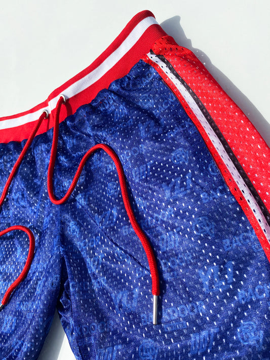 YLNONE x Back Door Vintage "1992 Olympic Shorts"